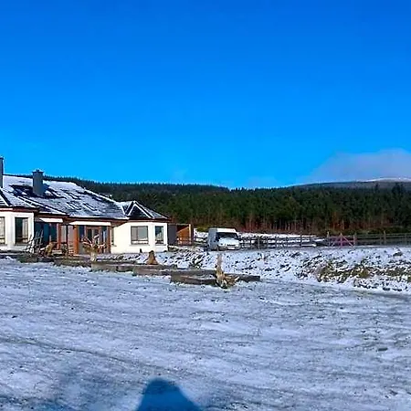 Lus Mor Раундвуд