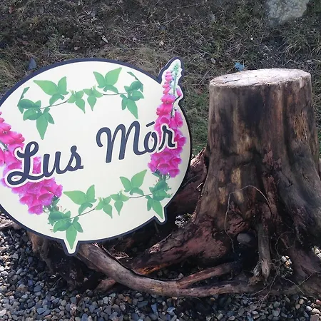 Alojamento de Acomodação e Pequeno-almoço Lus Mor 3*