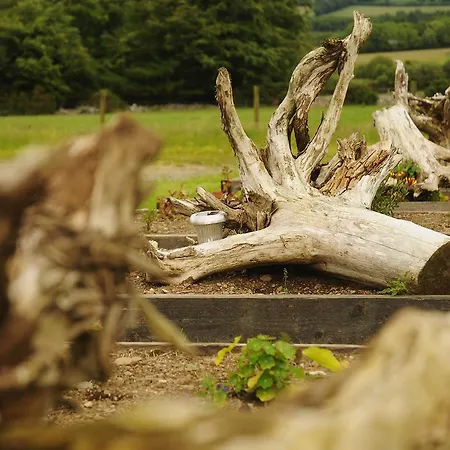 Lus Mor 3* Раундвуд