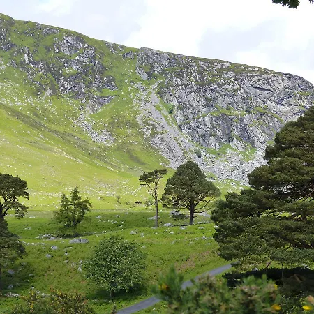 Lus Mor 3* Roundwood