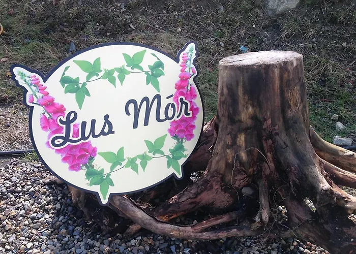 Frühstückspension Lus Mor 3*