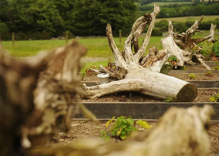 Lus Mor 3* Roundwood