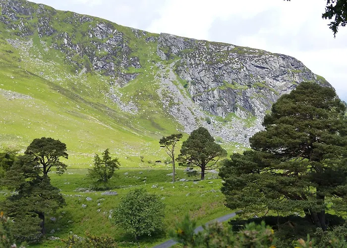 Lus Mor 3* Roundwood